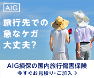 AIG損保の国内旅行傷害保険 今すぐお見積り・お申し込み